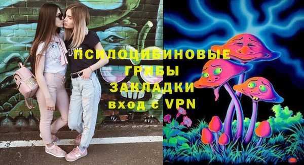 Альфа ПВП Беломорск